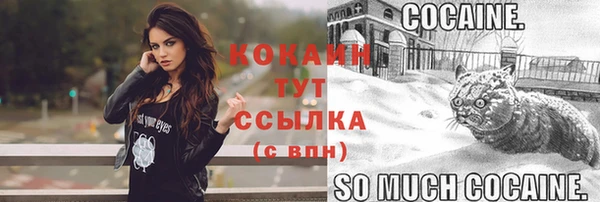индика Баксан