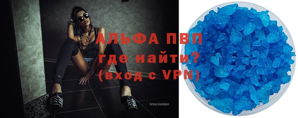 индика Баксан