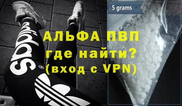 индика Баксан
