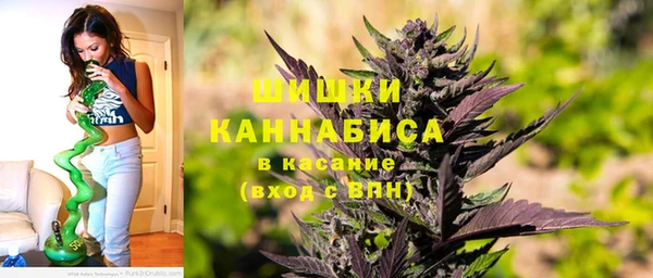 индика Баксан