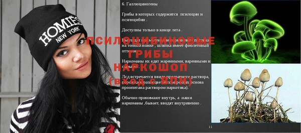 первитин Балахна